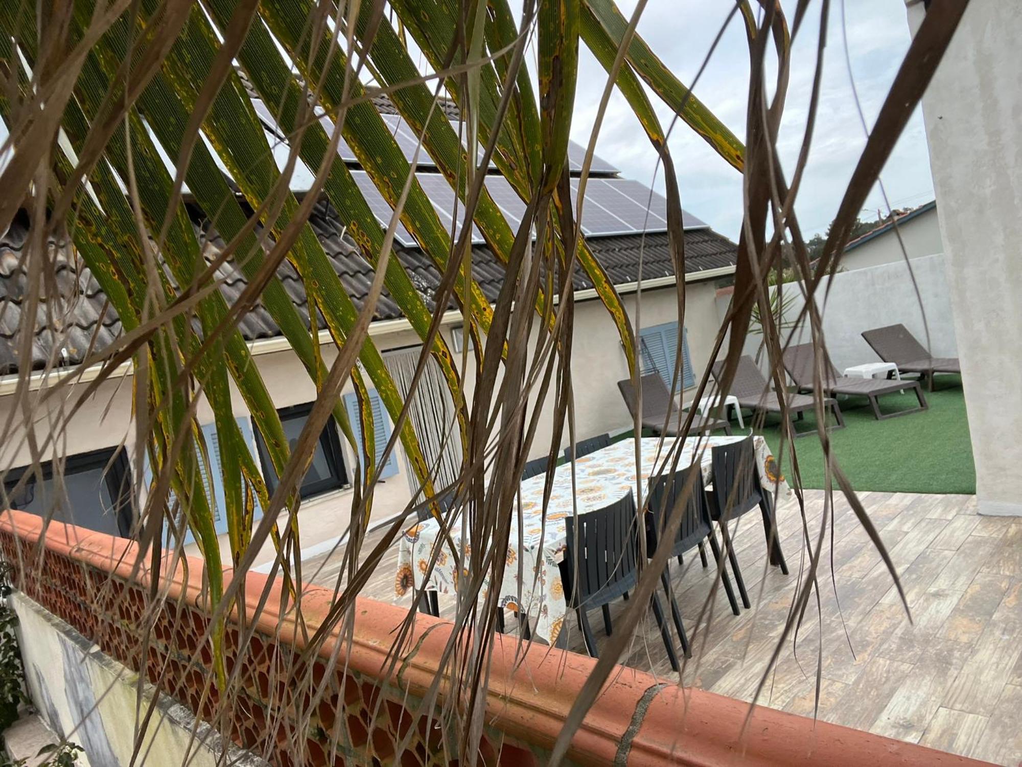 Casa Das Flores Leiria Silvercoast Portugal Monte Redondo 外观 照片